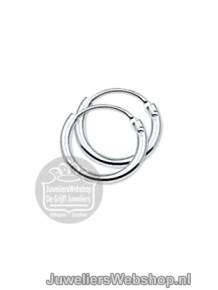 Zilveren buis creolen 1322785