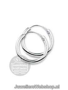 Zilveren Creolen Buiscreolen rond 1322790