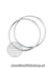 Zilveren Creolen Buiscreolen rond 1322822