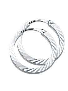 Zilveren klapcreolen