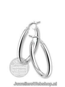 Zilveren Creolen Buiscreolen rond 1322933