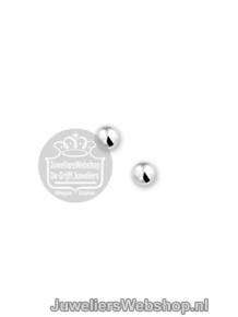 Zilveren oorknoppen 13.22980