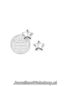 Zilveren Oorknoppen ster glimmend 1323174