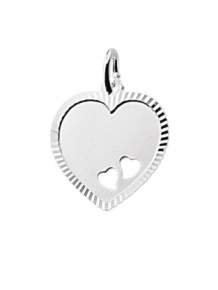 Zilveren Graveerplaatje