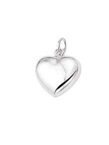 Zilveren klapcreolen