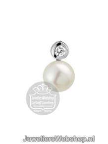 Zilveren klap creolen