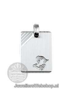 Zilveren klap creolen