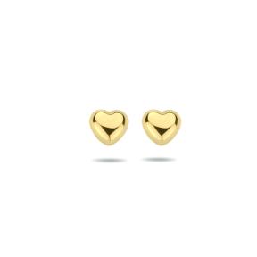 Gouden oorknoppen 4016370