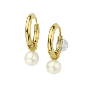 Gouden creolen 4018310