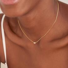 Ania Haie Collier N041-01G-W