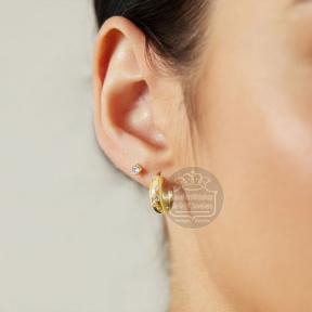 Ania Haie Chubby Huggie Hoop earrings E065-04G