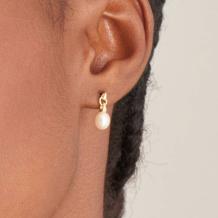 Ania Haie Ear Studs E043-02G