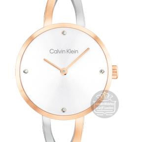 Calvin Klein CK25100060 Horloge Dames