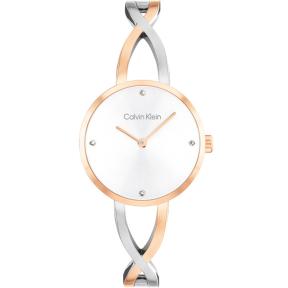 Calvin Klein CK25100060 Horloge Dames