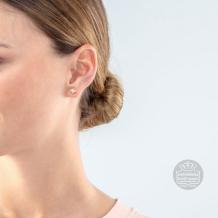 Coeur de Lion Oorbellen 0501/21-1822 Crystal Rosegold