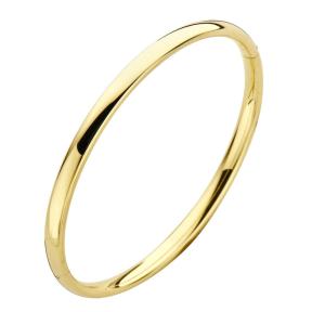 Fjory 8 Karaat Bangle Ovaal 33-A356104 4mm