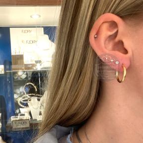 Fjory Gouden Oorringen 40-ORD15