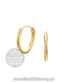 Gouden creolen 4001309