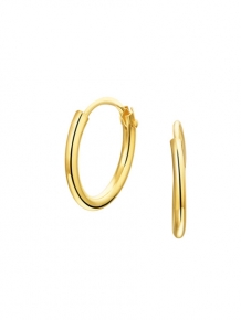 Gouden creolen 4001309