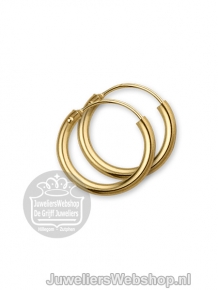 Gouden creolen 4013329