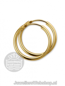 Gouden creolen 4013331