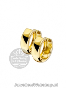 Gouden creolen 4015816