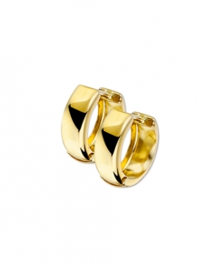 Gouden creolen 4015816