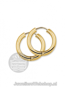 Gouden creolen 4001660