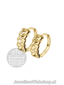 Gouden creolen 4017698