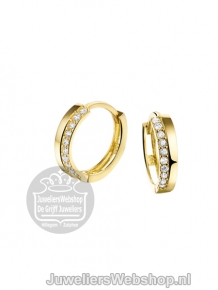 Gouden creolen 4017699