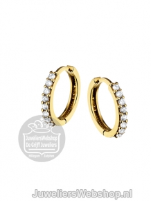 Gouden creolen 4016428