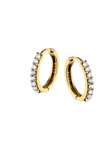 Gouden creolen 4016428