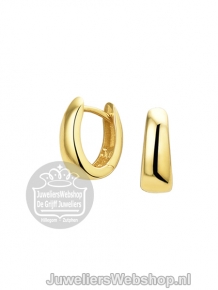 Gouden creolen 4019271