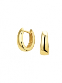 Gouden creolen 4019271