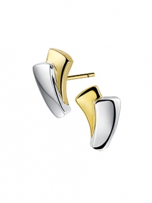 Gouden oorknoppen 4207718