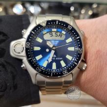 citizen quartz horloge JP2000-67L duiker
