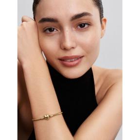 Pandora armband Silver Goldplated snack chain 563050C00-21