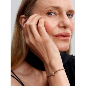 Pandora bedel Silver Goldplated Cupido hart 763666C00