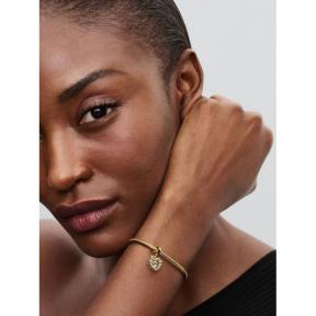 Pandora bedel Silver Bicolor Sparkling Heart Charm 763765C01