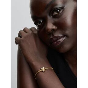 Pandora bedel Silver Goldplated Abstracte Golven 763915C01