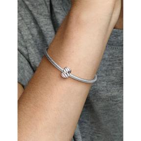 Pandora clip Silver Gepolijste Veren 791752