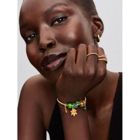 Pandora bedel Silver Disney Rapunzel Pascal Charm 793983C01