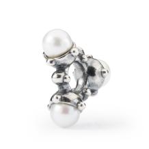 trollbeads kraal Parels van lichtTAGBE-00291 zilver