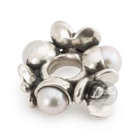 trollbeads kraal Parels van Geduld TAGBE-00308 zilver