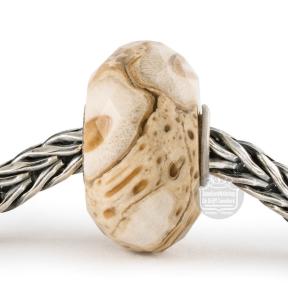 trollbeads kraal Gefossiliseerd Hout TSTBE-20042